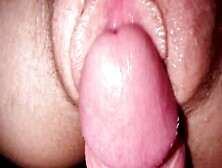 I Fuck My 18 Stepsister,  Crazy Sexy Creamy Vagina And Close-Up Jizzed