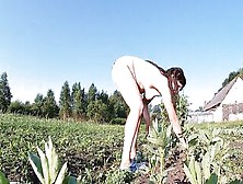 Farmer's Ex-Wife Masturbates Into The Field