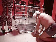 She Makes Her Pet Clean His Cage By Femdom Austria