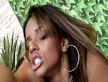 Brasilian Bimbos Anal Ruined At Porn Casting Inside The Favela