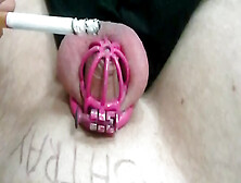 My Tiny Dick Lock In Chastity,  Being Burned By Cigarettes.  No Penis,  It Is Ashtray.  Cbt,  Sph.