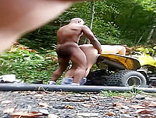 Slut Wife Used By Bull In The Woods