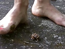 Amelia-Barefoot Snails Crush