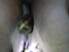 Webcam Girl Amateur Snail Insertion