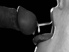 Slow Motion Sperm In Mouth! Model Sucks A Giant Load Of Sperm After Photoshoot