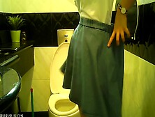 Asian Girl In Skirt Hairy Pussy In Toilet Filmed