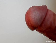Circumcised Penis Extreme Close Up And Squirting Orgasm Cumshot