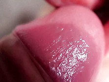 Oral Sex,  Doggystyle And Juicy Sperm Shot Closeup Macro