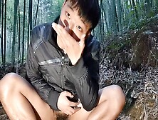 Inexpérimenté Asiatique Se Masturbe En Plein Air Dans Une Forêt De Bambou Pittoresque