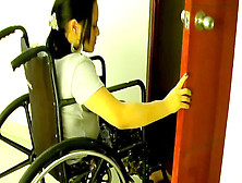 Paraplegic Catalina