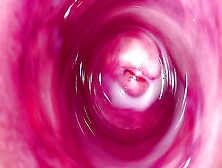 Camera Deep Inside Mia's Tight Vagina,  The Creamiest Pussy Ever