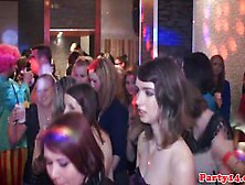 Real Party Euro Teen Tugging Cock