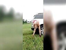 Public Sex Toy And Vehicle Banged Inside A Field