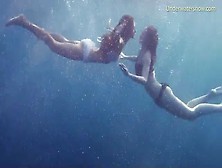 Swimming In The Deep Blue Ocean