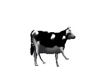 Popular Meme Song Polish Cow
