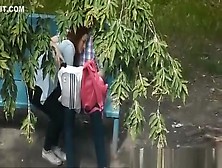 Girl Blowjob In A Public Park.