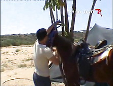 Israeli Sex - Sex At The Horse Farm