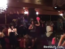 Horny Women In Club Take Turns With Male Strippers