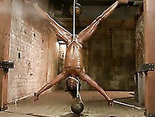 Small-Titted Ebony Bitch In Long Socks Gets Her Ass Hooked And Pussy Fisted When Bound And Suspended Upside-Down