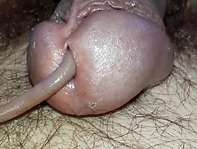 Worm In Cock So Good....