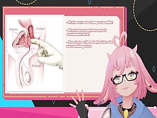 Vtuber Does A Prostate Class