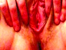 Bushy Pink Vagina Close-Up – American Milf 16
