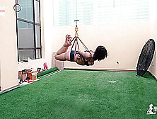 Asian Suspended High Hogtie