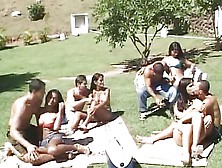 Outdoor Orgy With Brazil Tgirls