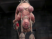 Big Natural Tits Bondage Damsel Displaying Her Nice Ass Then Tortured