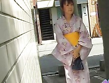 Sexy Little Geisha Flashes Her Boobies During Some Wild Sharking Meeting