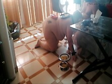 Bbw Pig Slut On The Floor