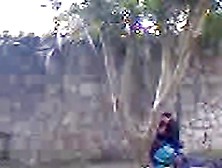 Spy Camera Caught Couple Ducking By A Tree
