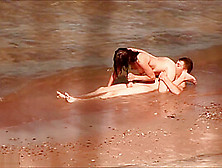 Beach Voyeur Films Hard Couple Sex