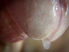 Extreme Close Up Cumshot In Slow Motion