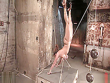 Christina Carter Tittied Tied Inverted