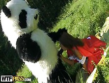 Madelyn Fa Un Bocchino A Un Panda Nel Bosco