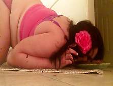 Cake Time For Bbw Feedee Pig