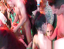 Peculiar Teens Get Entirely Insane And Nude At Hardcore Party