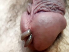 Worms Like To Be Inside My Cock