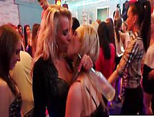Amateur Beauties Blowing Dicks At A Party