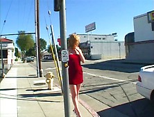 Cute Blonde Slut Picks Up A Client From The Street To Drill Her Ass