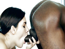 Big Black Cock Hardcore Interracial Porn Collection