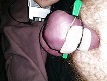 Cock Tied Back Strapped With Electrode,  One In Ass