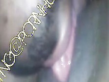 Close Up Tongue Posing Dripping Mom Cunt Orgasmic Groaning