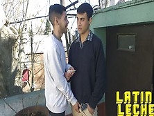 Latin Leche - Inked Latin Boys Enjoying A Quick Bareback Session