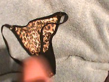 Bree's Leopard Print G String Panties