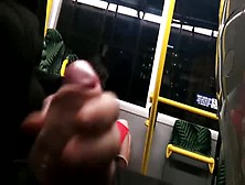 Bus Flash - She Liked It - Xhamster. Com. Flv