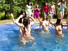 Sexy Girls Suck Dicks And Lick Pussies At A Pool Party