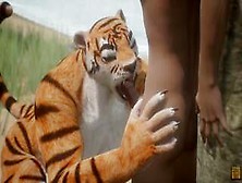 Wild Life / Tiger Furry Girl Catch Its Prey