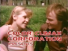 Color Climax - Teenage Bestsellers 252 - 55 Min[Xvideos. Com F72E